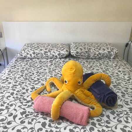 Medano Octopus Apartment El Médano Zewnętrze zdjęcie